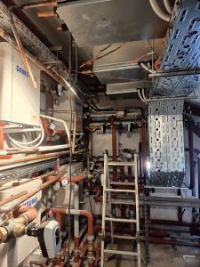 WhatsApp Image 2026-02-07 at 10.16.18 (1)