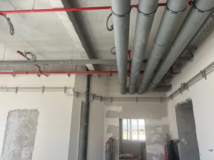 WhatsApp Image 2026-02-07 at 10.16.21 (1)