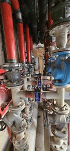 WhatsApp Image 2026-02-07 at 10.16.26 (1)