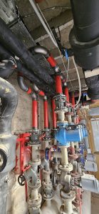 WhatsApp Image 2026-02-07 at 10.16.26 (2)