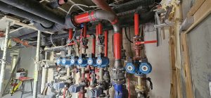 WhatsApp Image 2026-02-07 at 10.16.26 (3)